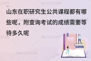 山东在职研究生公共课程都有哪些呢，附查询考试的成绩需要等待多久呢