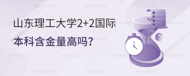 山东理工大学2+2国际本科