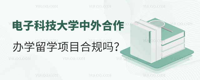 电子科技大学中外合作办学