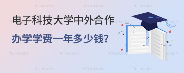 电子科技大学中外合作办学学费