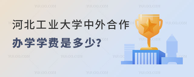 河北工业大学中外合作办学学费