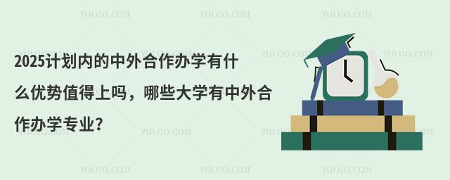 计划内的中外合作办学值得上吗