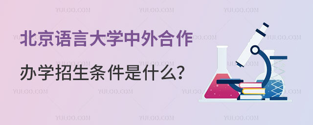 北京语言大学中外合作办学招生条件