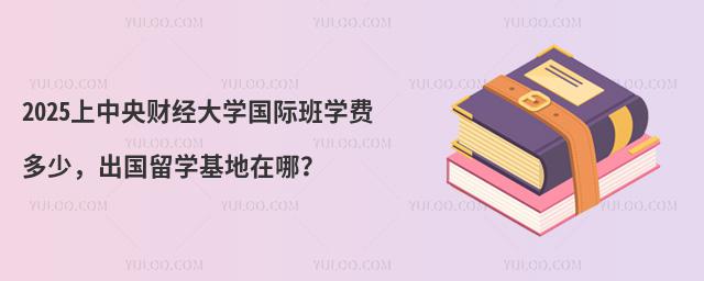 2025上中央财经大学国际班学费多少