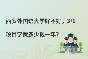 西安外国语大学好不好，3+1项目学费多少钱一年？