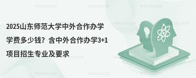 2025山东师范大学中外合作办学学费多少钱？