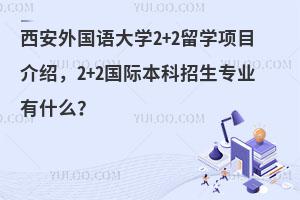 西安外国语大学2+2留学项目介绍，2+2国际本科招生专业有什么？