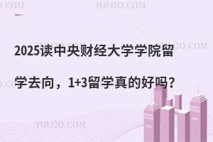 2025读中央财经大学学院留学去向，1+3留学真的好吗？
