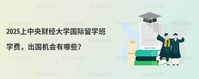 2025上中央财经大学国际留学班学费