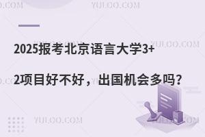 2025报考北京语言大学3+2项目好不好，出国机会多吗？