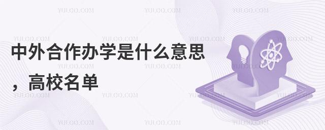 中外合作办学是什么意思