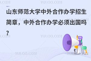 山东师范大学中外合作办学必须出国吗？附招生简章