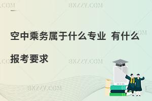 空中乘務屬于什么專業?有什么報考要求?
