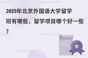 2025年北京外国语大学留学班有哪些，留学项目哪个好一些？