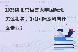 2025读北京语言大学国际班怎么报名，3+1国际本科有什么专业？