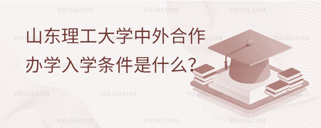 山东理工大学中外合作办学入学条件