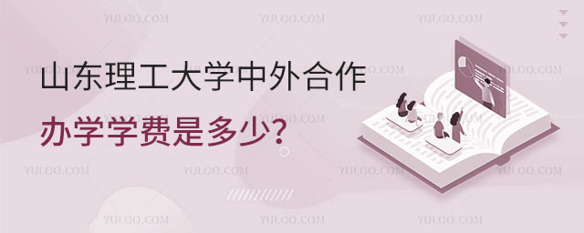 山东理工大学中外合作办学学费