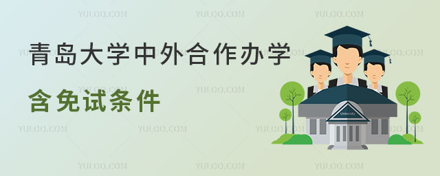 青岛大学中外合作办学分数线