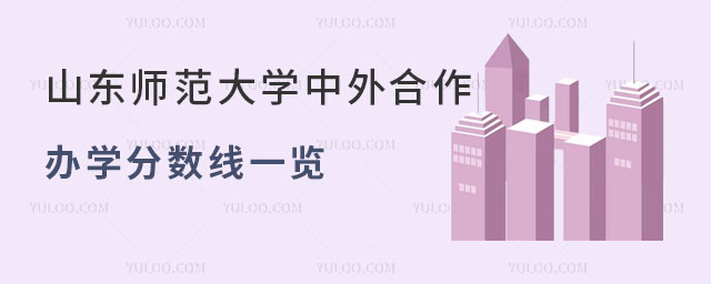 山东师范大学中外合作办学分数线