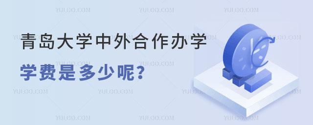 青岛大学中外合作办学学费