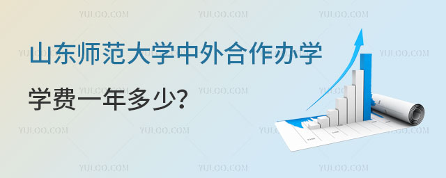 山东师范大学中外合作办学学费