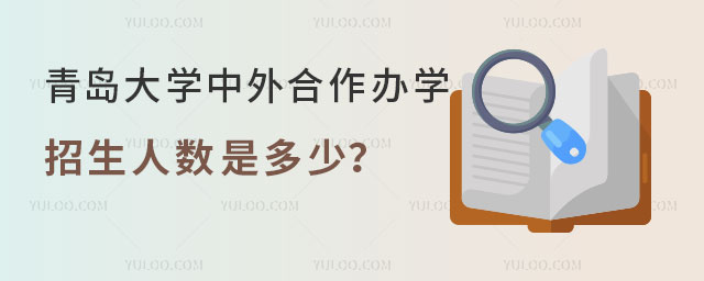 青岛大学中外合作办学招生人数