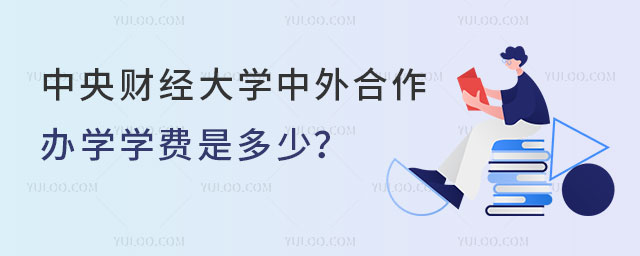中央财经大学中外合作办学学费
