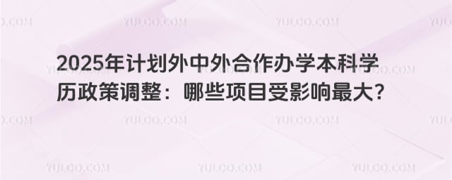 计划外中外合作办学本科学历