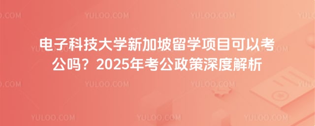 电子科技大学新加坡留学项目可以考公吗