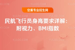民航飛行員身高要求詳解:附視力、BMI指數(shù)