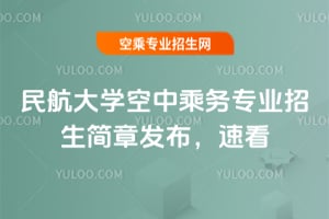 2025񺽴Wг˄ՌI°lٿ