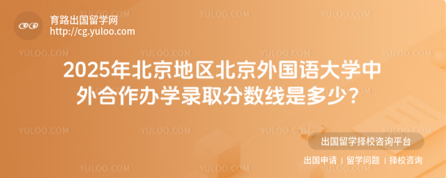 北京外国语大学中外合作办学录取分数线,