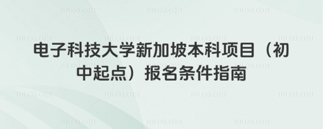 电子科技大学新加坡本科