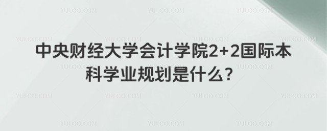 中央财经大学2+2国际本科学业规划