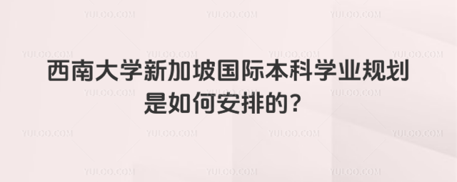 西南大学新加坡国际本科学业规划