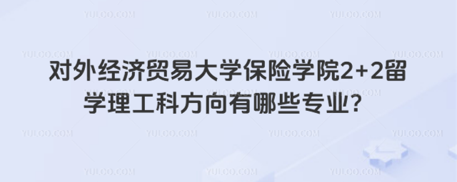 对外经济贸易大学2+2留学理工科专业