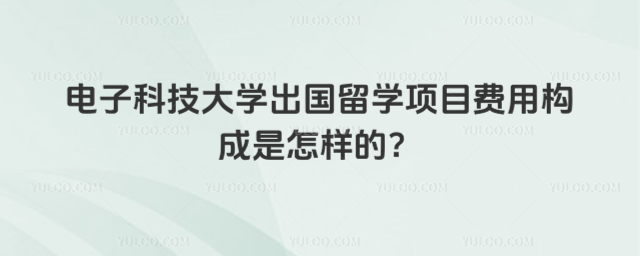 电子科技大学出国留学费用