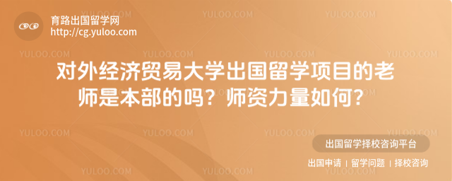 对外经济贸易大学出国留学师资力量