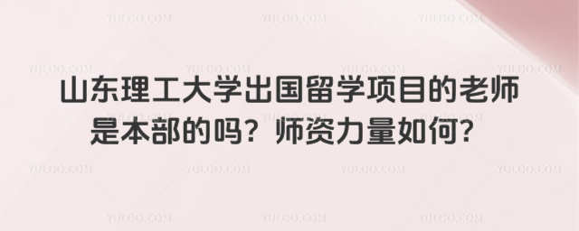 山东理工大学出国留学师资力量