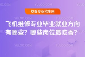 飛機(jī)維修專業(yè)畢業(yè)就業(yè)方向有哪些?哪些崗位最吃香?