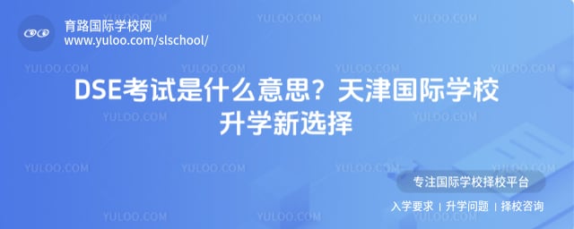 dseԇʲô˼