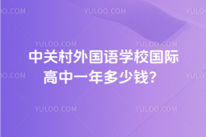 中關村外國語學校國際高中一年多少錢？