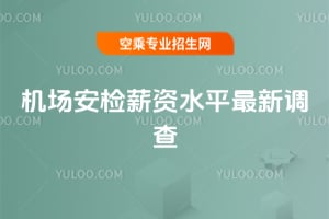 2025年機(jī)場(chǎng)安檢薪資水平最新調(diào)查