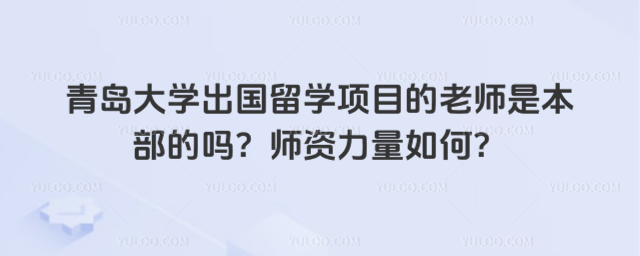 青岛大学出国留学师资力量