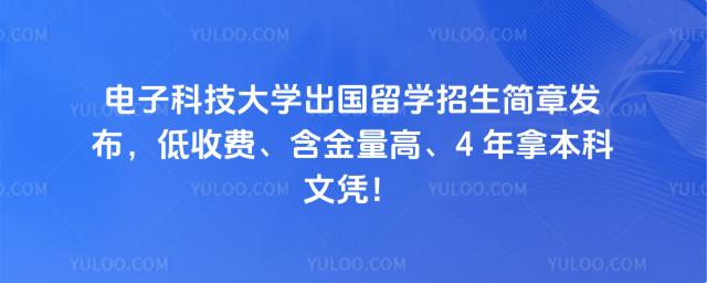 电子科技大学出国留学招生简章