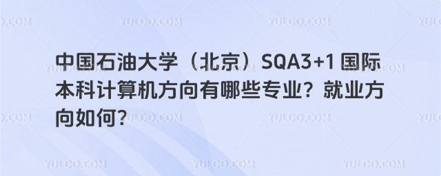 中国石油大学（北京）国际本科计算机专业