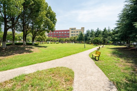 三河市燕橋?qū)W校小學(xué)插班