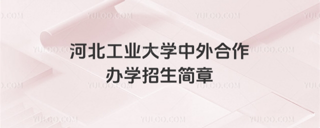 河北工业大学中外合作办学招生简章