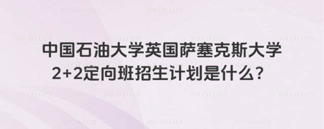 中国石油大学2+2招生计划
