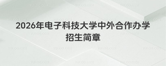 电子科技大学中外合作办学招生简章